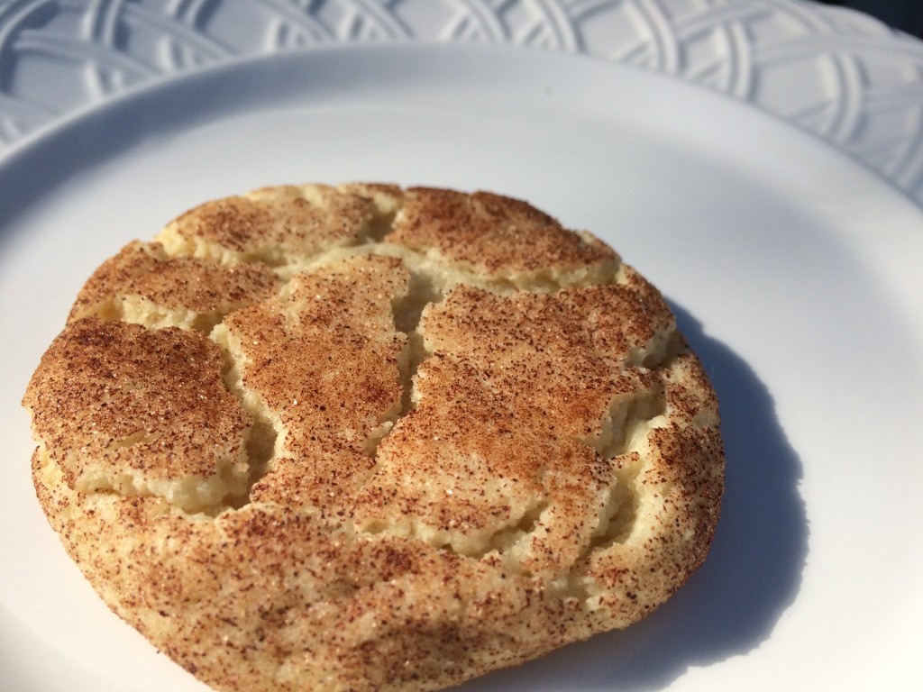 GF Snickerdoodle Cookies 