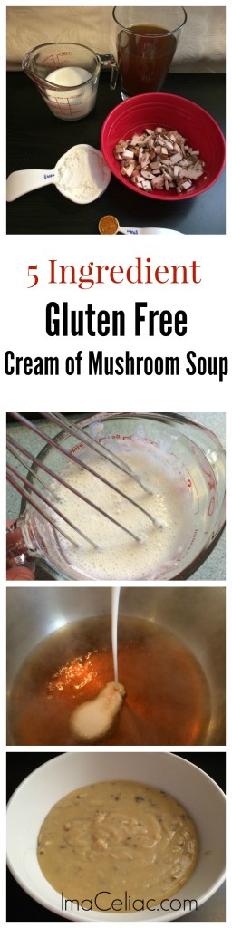 5 ingredient GF Cream of mushroom soup imaceliac.com