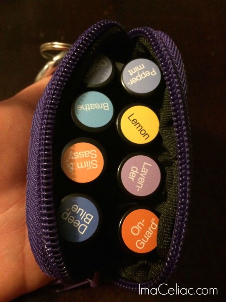 Essential Oils Carry Case