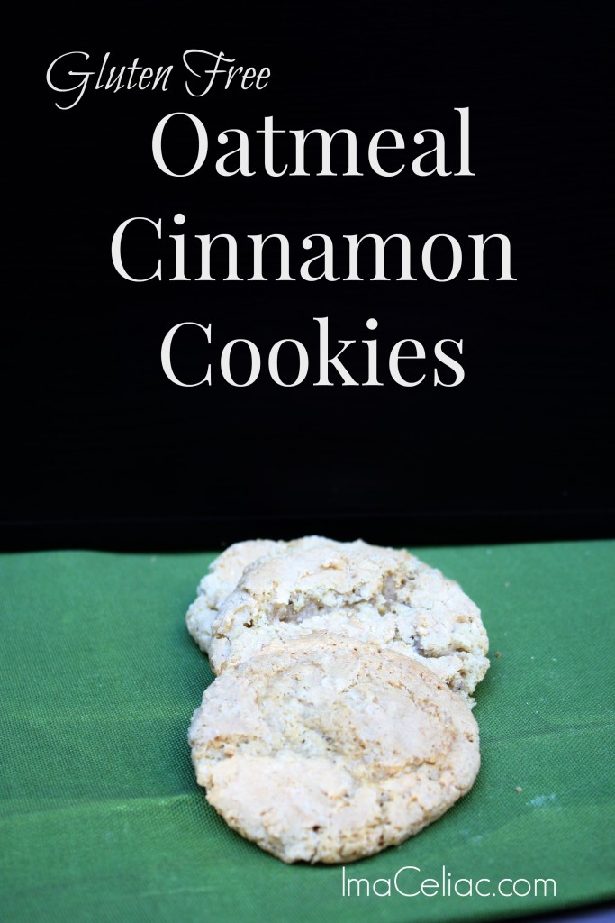 GF Oatmeal Cinnamon Cookies