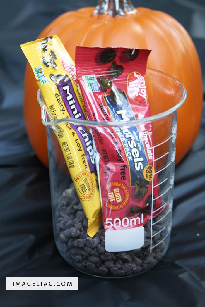 Enjoy Life Foods new Snack Packs are perfect for Halloween