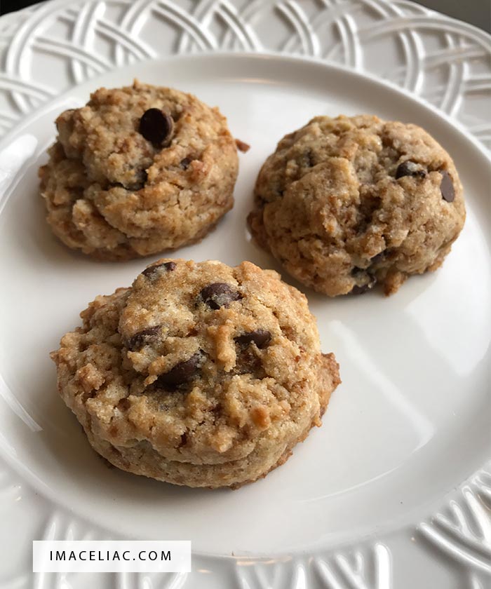 Tasty Gluten Free cookies made with Bella Gluten Free Baking Mix